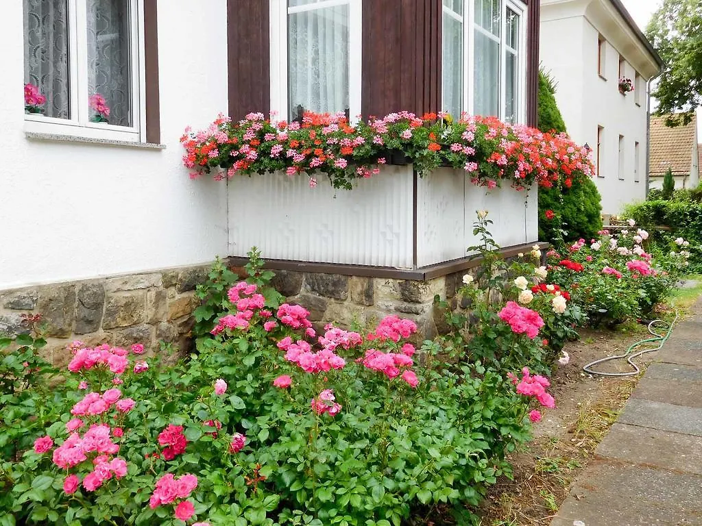 Ferienwohnung Baade ドレスデン ドイツ